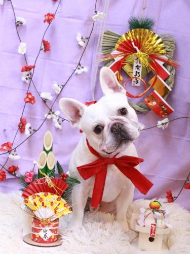 20230117ブーくん